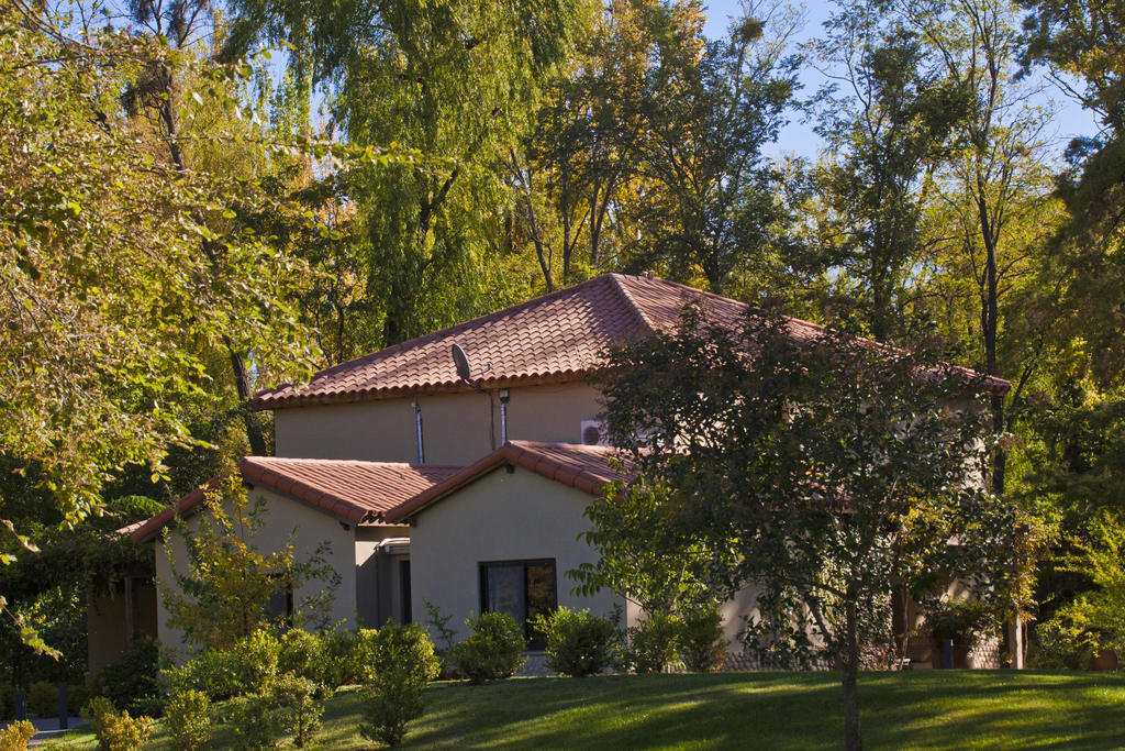 Posada Salentein Los Árboles Rum bild